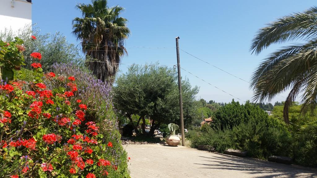 Shwartzimmer Rosh Pinna Exterior foto